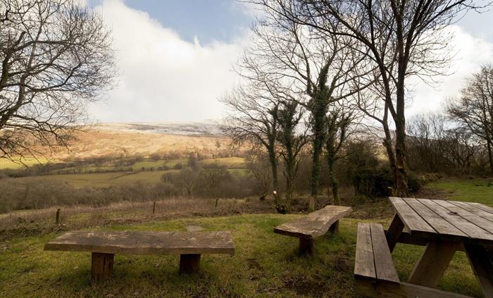 Outdoor Seating Area